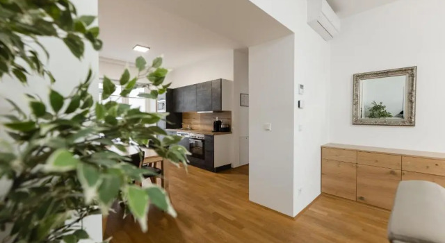 Апартаменты с 2 комнатами Nadland Apartment Wehlistrasse