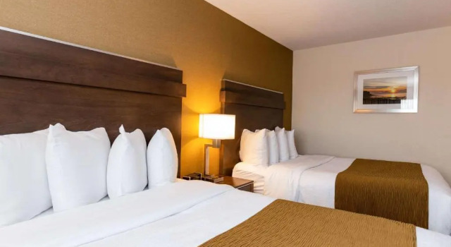 Номер Executive Quality Inn & Suites
