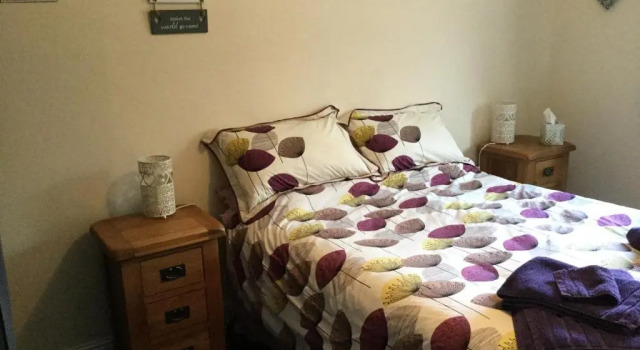 Двухместный номер Standard Trem Hyfryd B&B and Spa