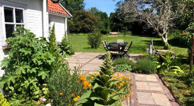 Коттедж с 3 комнатами Cottage Duinroos - Dune Rose