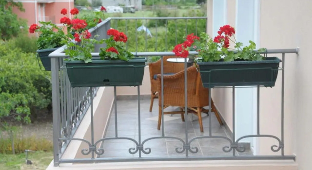Студия Apartments Royal