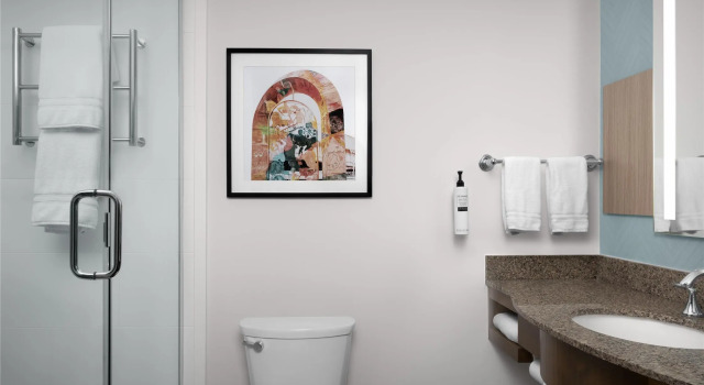 Двухместный номер Standard Hilton Garden Inn Greensboro Airport