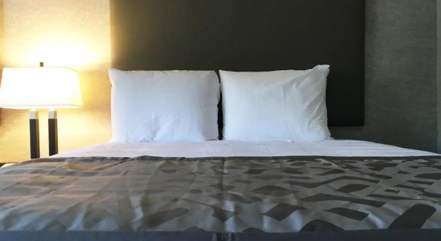 Четырёхместный номер Standard Arden Star Hotel