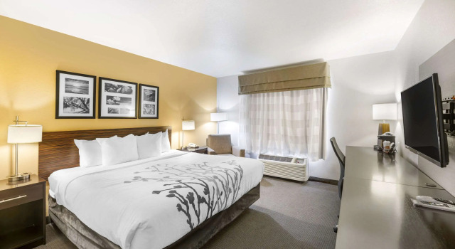 Двухместный номер Standard Sleep Inn & Suites Carlsbad Caverns Area
