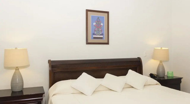 Premier Dvoulůžkový s manželskou postelí Apartmá Hotel La Casona de Don Jorge