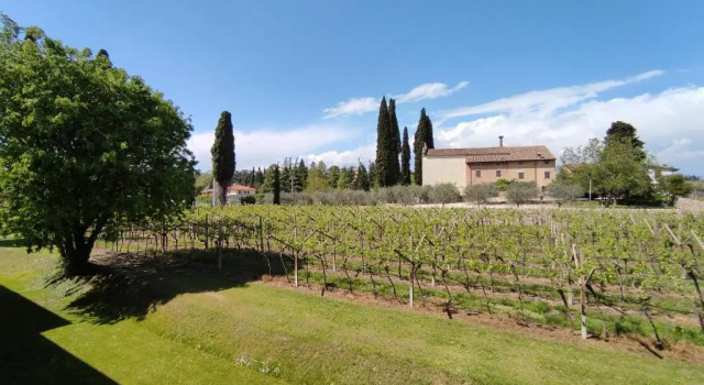 Номер Economy Agriturismo La Vigna