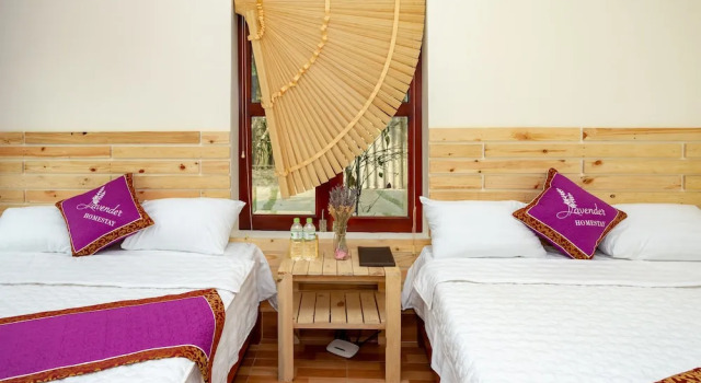 Tam Coc Lavender Homestay