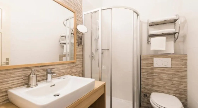 Номер Standard Alpin Hotel Gudrun
