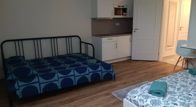 1 Br Apartment at Prague 1