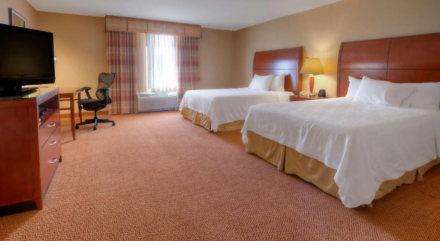 Четырёхместный номер Standard Hilton Garden Inn Great Falls