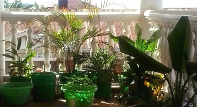 Winnie's Place, Забронировать Отель Кампала Уганда, рядом с JK Boutique Garden City