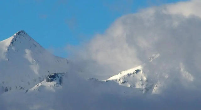 Студия Belcombes