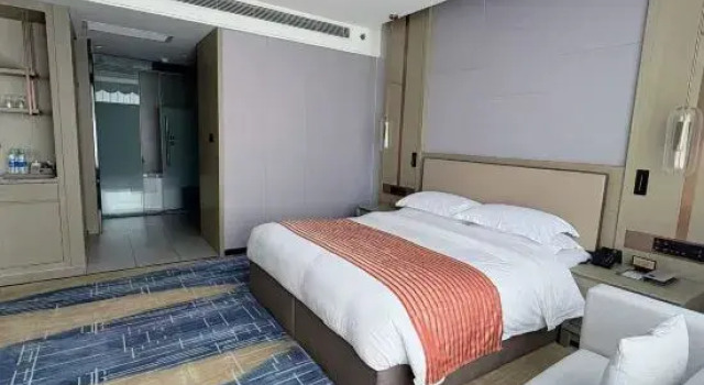 Люкс xizang hotel  （Norbulingka shop)