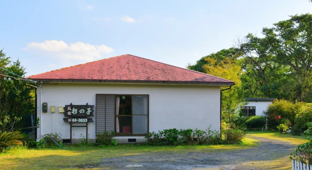 Одноместный номер Standard Yakushima Minsyuku Suginoko
