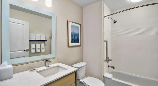 Семейный люкс c 1 комнатой TownePlace Suites by Marriott Asheville West
