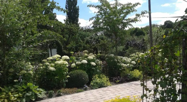 Номер Standard Bed And Breakfast Rodenberg