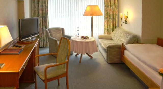 Одноместный номер Standard Vis á Vis Parkhotel