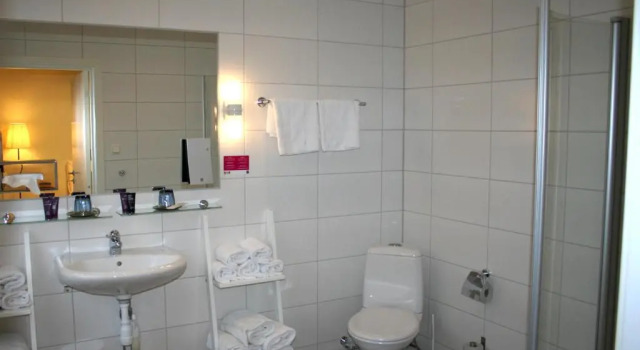 Двухместный номер Standard Home Hotel Bristol