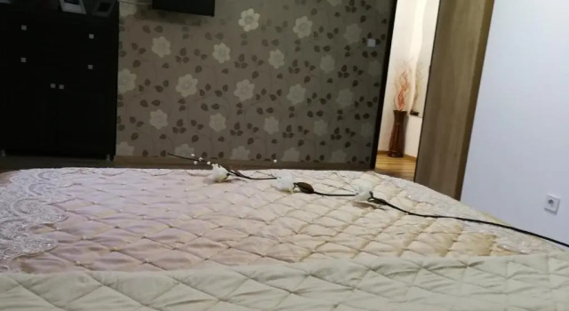 Апартаменты House Apartment Minerilor