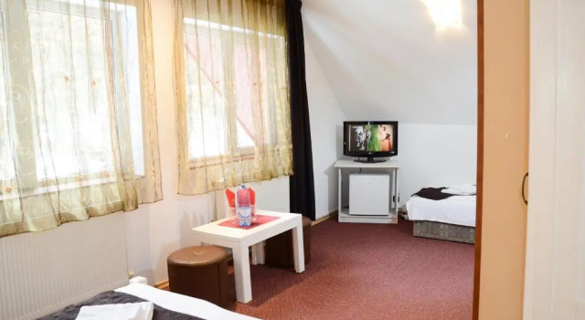 Семейный номер Standard Мансарда Pensiunea Happy Inn