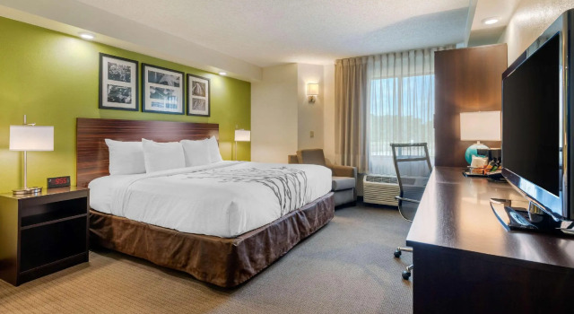 Двухместный номер Standard Spot X Hotel Wesley Chapel - Tampa Area