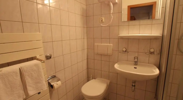 Одноместный номер Standard Hotel Weisse Taube