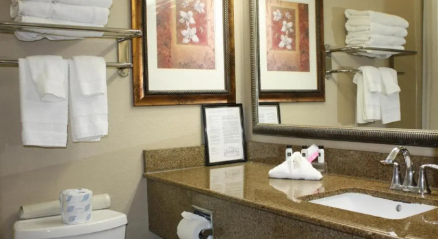 Номер Standard Country Inn & Suites by Radisson, Tampa Airport North, FL