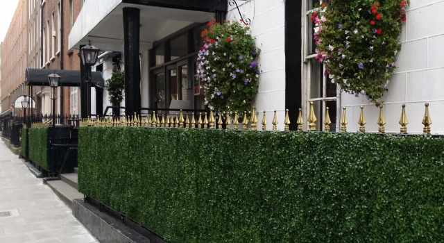 The Kildare Street Hotel