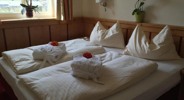 Двухместный номер Standard Hotel Gasthof Schweizerhaus