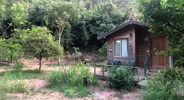 Номер Deluxe Garden Pansiyon Çıralı