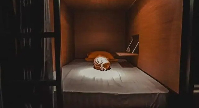 Cama en dormitorio compartido Autumn Living Hotel