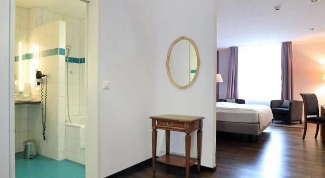 Двухместный номер Deluxe Hotel Banana City Winterthur