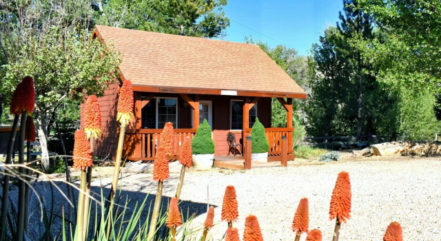 Номер Standard Arrowhead Country Cabins