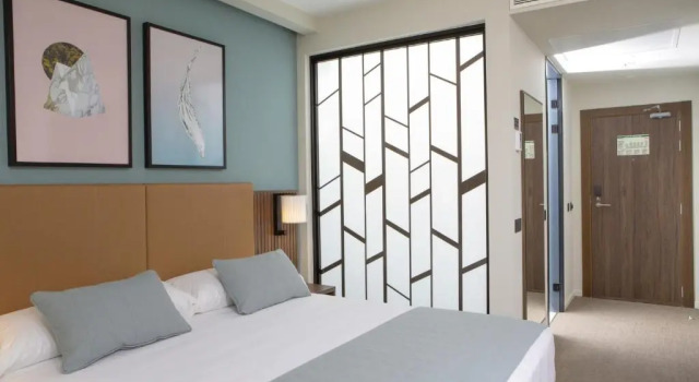 Двухместный номер Deluxe Superior с красивым видом из окна Riu Plaza España