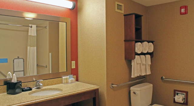 Четырёхместный номер Standard Hampton Inn & Suites St. Louis/South I-55