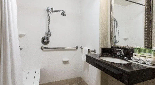 Люкс Standard Holiday Inn Express Hotel & Suites Clute-Lake Jackson by IHG