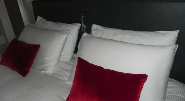 Gente di Notte, Prenota Hotel Frascati Castelli Romani