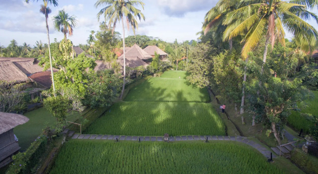 Полулюкс Ananda Ubud Resort