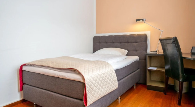 Одноместный номер Standard Hotel Europe