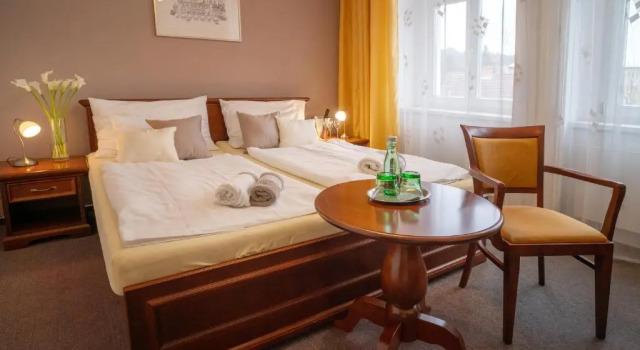Двухместный номер Comfort Hotel U Kaplicky