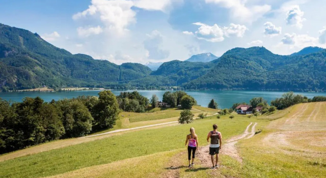 Апартаменты Himmelblau - Design Apartment Am Mondsee