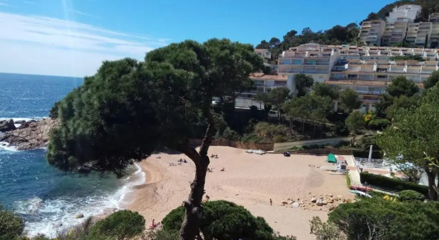 Апартаменты Cala Salions, Chalana II