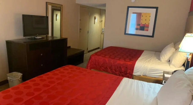 Четырёхместный номер Standard Comfort Inn & Suites