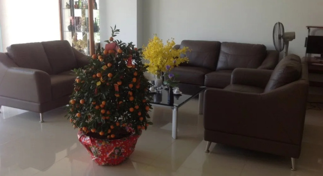 Giang Quynh Lan Guest House, Забронировать Гостевой дом Гостевые дома Хошимина, Гостевой дом