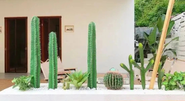 Xiling Snow Mountain Mid-Levels Homestay, Book Hotel Chengdu Sichuan