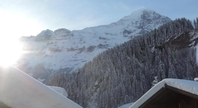 Студия Standard Chalet Schwendiboden