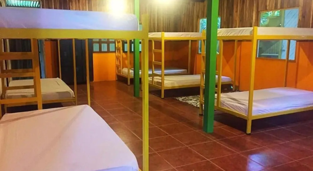 Кровать в общем номере Madre Selva Hostel