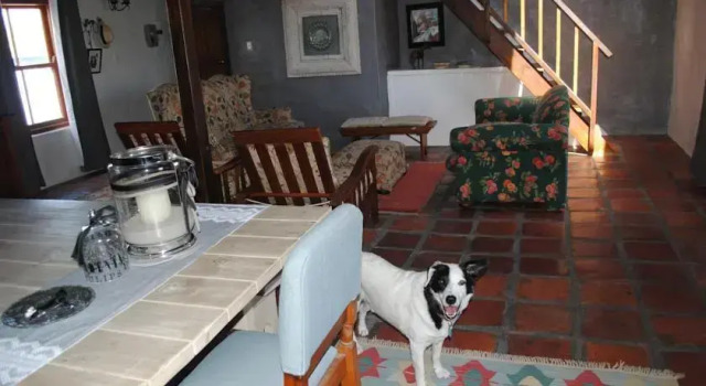 Gonana Studios & Villa, Buchen Sie Pension Paternoster Vredenburg