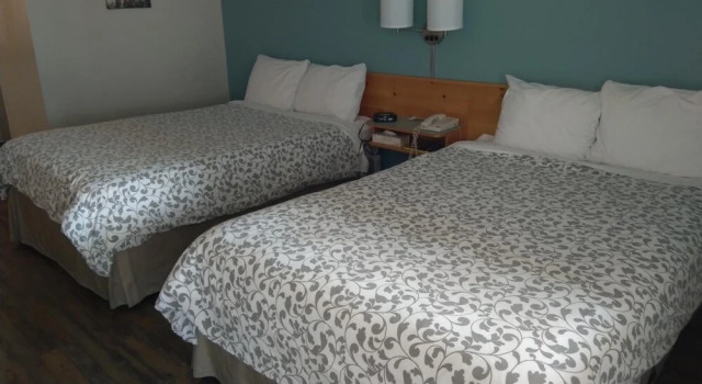 Четырёхместный номер Standard Fireweed Motel