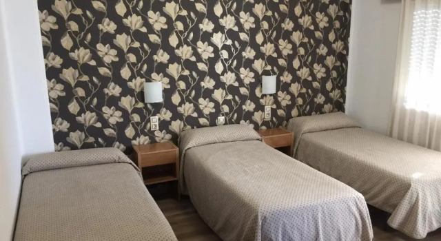 Standard Kolmen hengen huone Hostal Anas